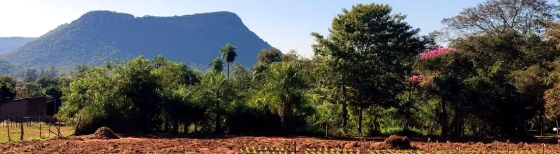 Huerta con vista a los cerros